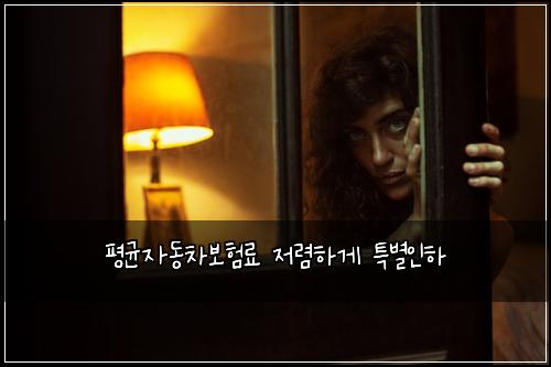 평균자동차보험료 저렴하게 특별인하