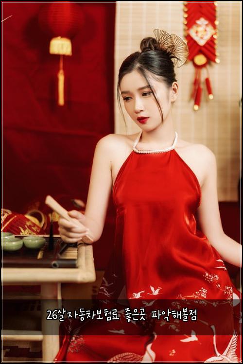 26์ด์๋์ฐจ๋ณดํ๋ฃ ์ข์๊ณณ ํ์
ํด๋ณผ์ 