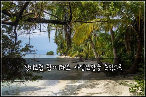 μ 기보ν ν¨κ»ν΄μ μ¬λ§λ³΄μ₯μ λͺ©μ μΌλ‘