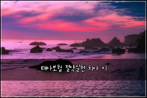 ํ์๋ณดํ ์ ์ฝ์ค์ฒ ์น์ ์ด
