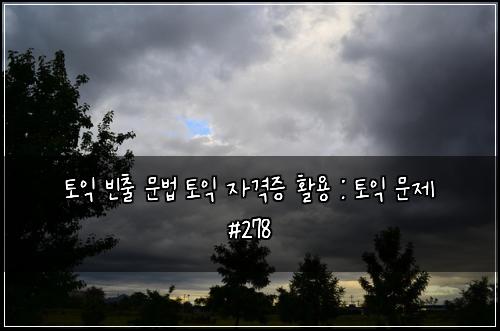 토익 빈출 문법 토익 자격증 활용 : 토익 문제 #278
