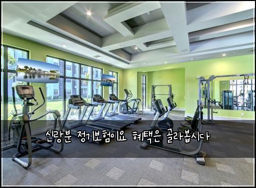 신랑분 정기보험이요 혜택은 골라봅시다