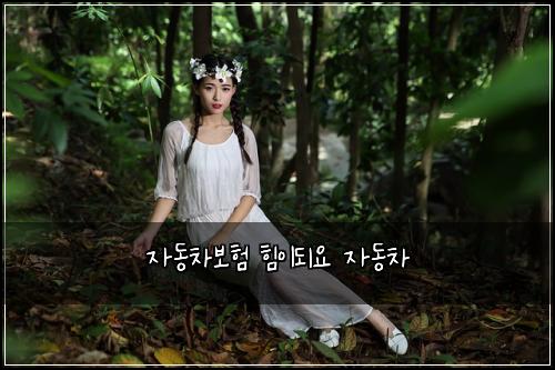์๋์ฐจ๋ณดํ ํ์ด๋์ ์๋์ฐจ