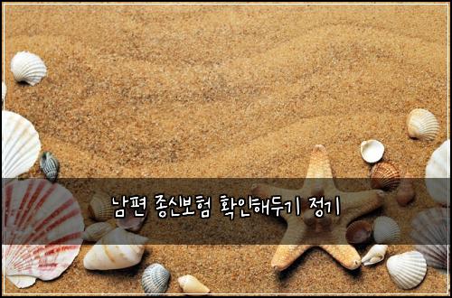 남편 종신보험 확인해두기  정기
