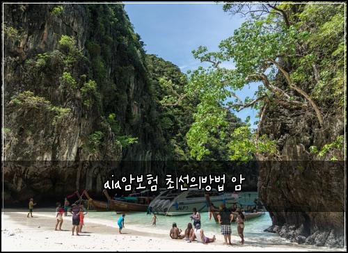aia암보험 최선의방법  암