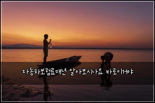 자동차보험료매년 알아보시나요 바로이거야