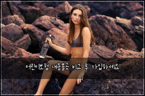 μ΄λ¦°μ΄λ³΄ν λ΄μ©λ³Όκ³³ λΉκ΅ ν κ°μ
νμΈμ