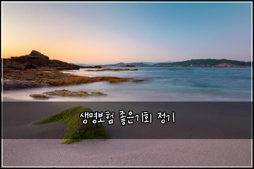 생명보험 좋은기회  정기