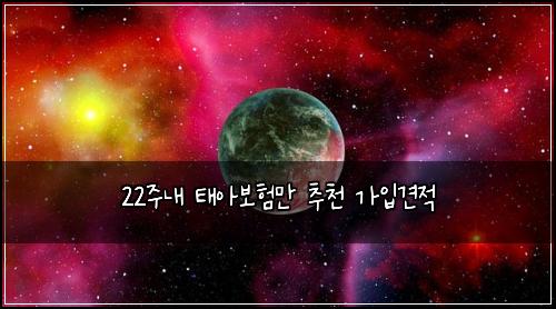 22μ£Όλ΄ νμ보νλ§ μΆμ² κ°μ
견μ 