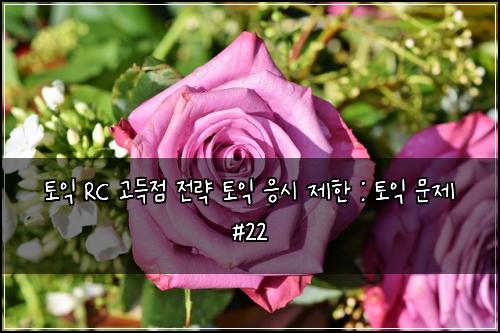 토익 RC 고득점 전략 토익 응시 제한 : 토익 문제 #22