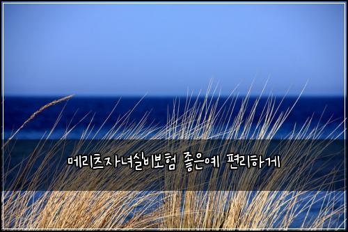 ๋ฉ๋ฆฌ์ธ ์๋
์ค๋น๋ณดํ ์ข์์ ํธ๋ฆฌํ๊ฒ
