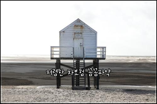 저렴한 차보험 꼼꼼파악 