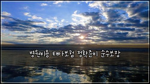 병원비용 태아보험 정확준비  순수보장