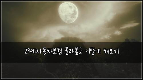 29์ธ์๋์ฐจ๋ณดํ ๊ณจ๋ผ๋ณผ๊ณณ ์ด๋ ๊ฒ ํด๋ณด๊ธฐ