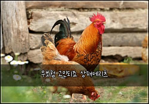 무보험 고민되죠  상해메리츠