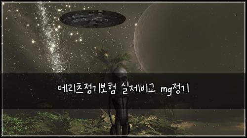 메리츠정기보험 실제비교  mg정기