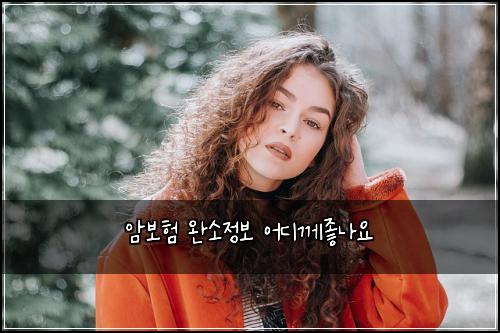μ보ν μμμ 보 μ΄λκ»μ’λμ
