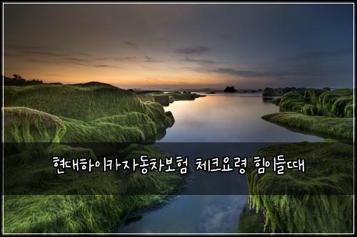 νλνμ΄μΉ΄μλ차보ν 체ν¬μλ Ή νμ΄λ€λ