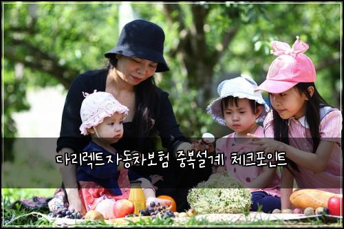 다리렉트자동차보험 중복설계  체크포인트