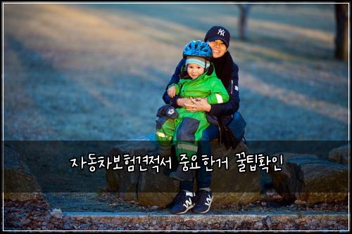 ์๋์ฐจ๋ณดํ๊ฒฌ์ ์ ์ค์ํ๊ฑฐ ๊ฟํํ์ธ