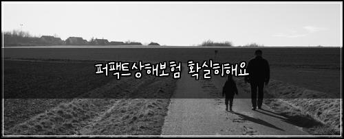 퍼팩트상해보험 확실히해요 