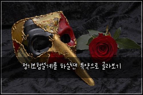 정기보험설계를 하실땐 특약으로 골라보기