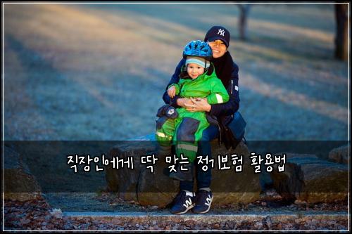 직장인에게 딱 맞는 정기보험 활용법