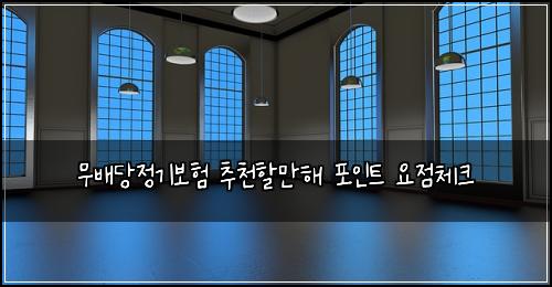 무배당정기보험 추천할만해  포인트 요점체크