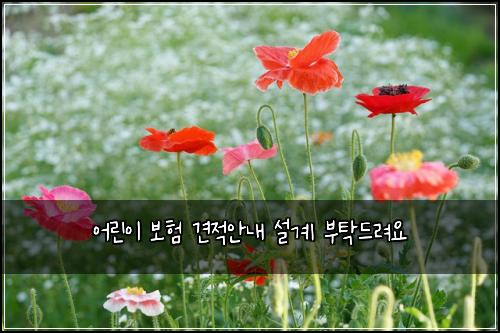 ์ด๋ฆฐ์ด ๋ณดํ ๊ฒฌ์ ์๋ด ์ค๊ณ ๋ถํ๋๋ ค์