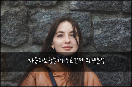 ์๋์ฐจ๋ณดํ์ค๊ณ ๋ฌด๋ฃ๊ฒฌ์ ํํ๋ถ์