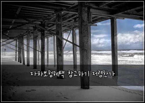자차보험혜택 참고하기 저렴한가