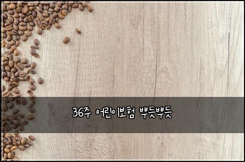 36์ฃผ ์ด๋ฆฐ์ด๋ณดํ ๋ฟ๋ฏ๋ฟ๋ฏ