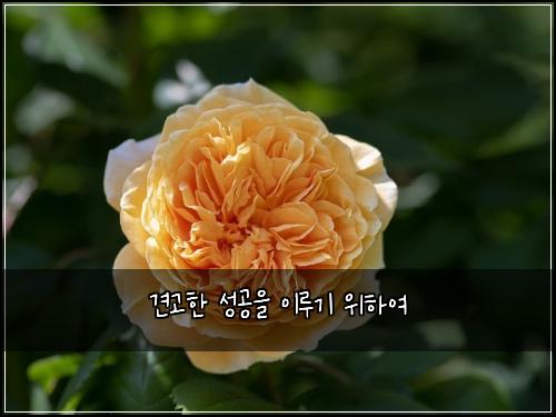 견고한 성공을 이루기 위하여