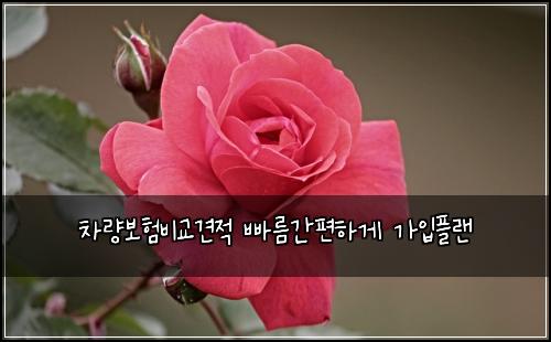 차량보험비교견적 빠름간편하게 가입플랜