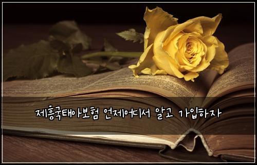 ์ ํฅ๊ตญํ์๋ณดํ ์ธ์ ์ด๋์ ์๊ณ ๊ฐ์
ํ์
