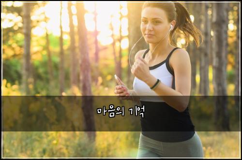 마음의 기억