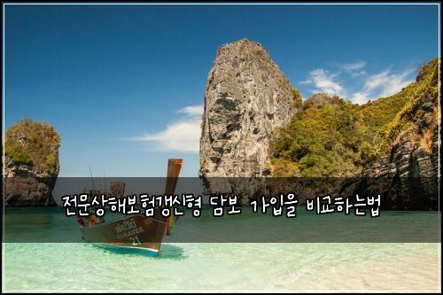 전문상해보험갱신형 담보 가입을 비교하는법