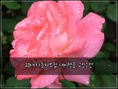 20๋์๋์ฐจ๋ณดํ ๋๋น์ฑ
์ ๊ณ ๋ฏผ๊ทธ๋ง