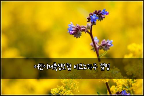 어린이저축성보험 비교노하우  설명