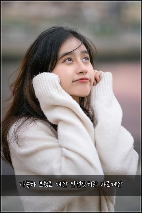 ์๋์ฐจ ๋ณดํ๋ฃ ๊ณ์ฐ ์์ ์ฅ์น๋ ๋ฐ๋ก๊ณ์ฐ