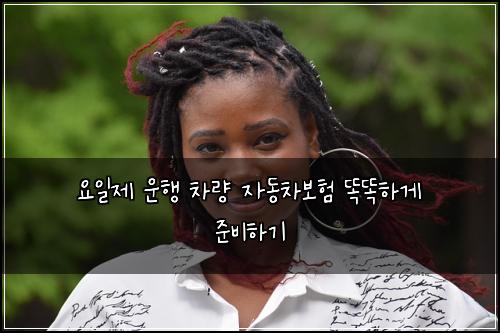 요일제 운행 차량 자동차보험 똑똑하게 준비하기
