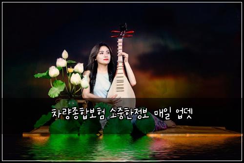 μ°¨λμ’
ν©λ³΄ν μμ€νμ 보 λ§€μΌ μ
λ