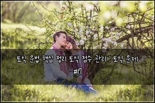 ํ ์ต ๋ฌธ๋ฒ ํต์ฌ ์ ๋ฆฌ ํ ์ต ์ ์ ๊ด๋ฆฌ : ํ ์ต ๋ฌธ์ #17