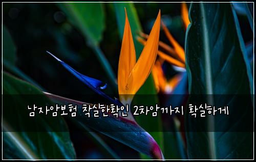๋จ์์๋ณดํ ์ฐฉ์คํํ์ธ 2์ฐจ์๊น์ง ํ์คํ๊ฒ