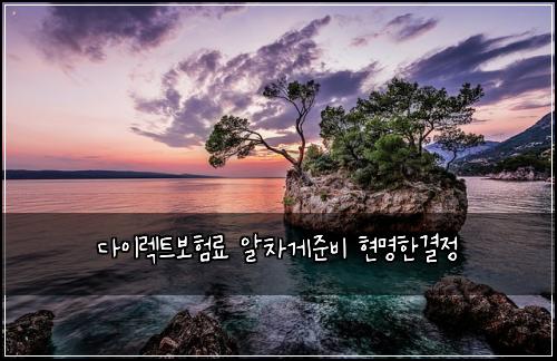 ๋ค์ด๋ ํธ๋ณดํ๋ฃ ์์ฐจ๊ฒ์ค๋น ํ๋ช
ํ๊ฒฐ์ 