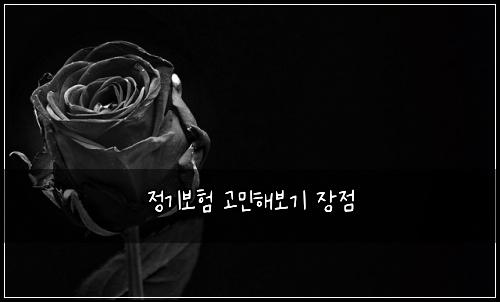 정기보험 고민해보기  장점