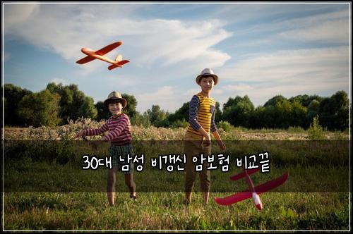 30대 남성 비갱신 암보험 비교끝 