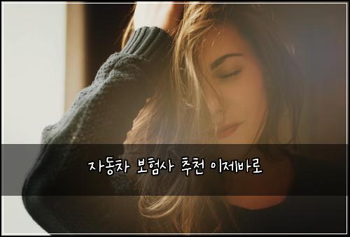 ์๋์ฐจ ๋ณดํ์ฌ ์ถ์ฒ ์ด์ ๋ฐ๋ก