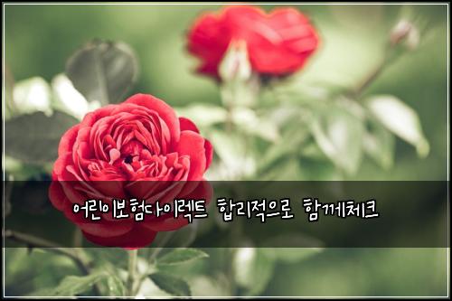 어린이보험다이렉트 합리적으로 함께체크