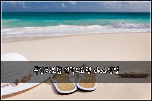 νΉμ₯차보ν μ νμμλ Ή checkλ°©λ²